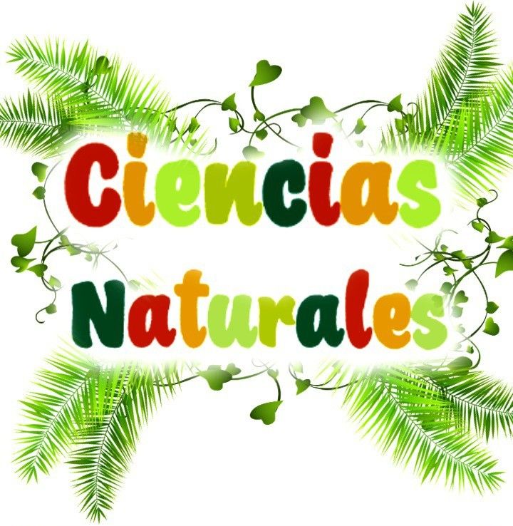 ciencia s